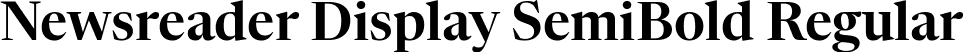 Newsreader Display SemiBold Regular font | NewsreaderDisplay-SemiBold.ttf