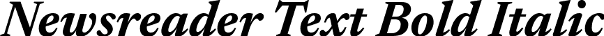 Newsreader Text Bold Italic font | NewsreaderText-BoldItalic.ttf