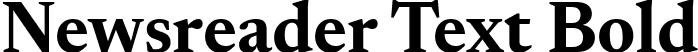 Newsreader Text Bold font | NewsreaderText-Bold.ttf