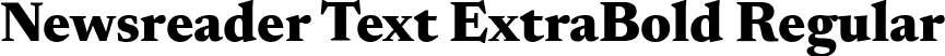 Newsreader Text ExtraBold Regular font | NewsreaderText-ExtraBold.ttf