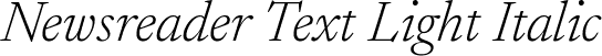 Newsreader Text Light Italic font | NewsreaderText-LightItalic.ttf