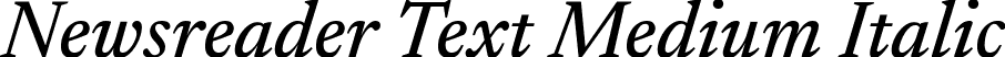 Newsreader Text Medium Italic font | NewsreaderText-MediumItalic.ttf