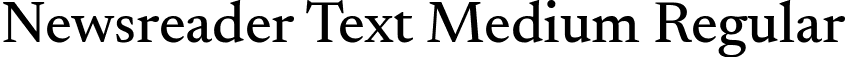 Newsreader Text Medium Regular font | NewsreaderText-Medium.ttf