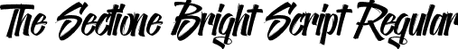 The Sectione Bright Script Regular font | zTheSectioneBright-Script.otf