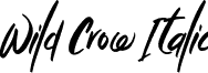 Wild Crow Italic font | Wild Crow - TTF.ttf