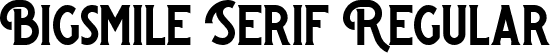 Bigsmile Serif Regular font | Bigsmile-Serif (Demo).ttf