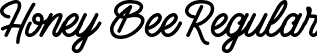 Honey Bee Regular font | HoneyBee-Regular.ttf