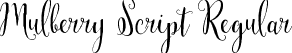 Mulberry Script Regular font | Mulberry Script-Regular.ttf