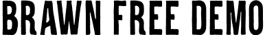 Brawn Free Demo font | Brawn-FreeDemo.otf