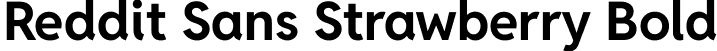 Reddit Sans Strawberry Bold font | RedditSansStrawberry-Bold.ttf