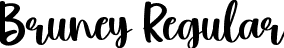 Bruney Regular font | Bruney.ttf