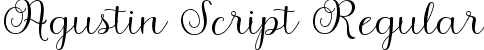 Agustin Script Regular font | AgustinScript.ttf