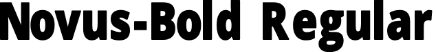 Novus-Bold Regular font | Novus-Bold.otf