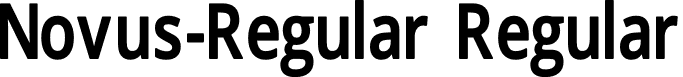 Novus-Regular Regular font | Novus-Regular.otf