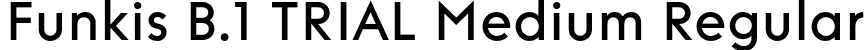 Funkis B.1 TRIAL Medium Regular font | FunkisB.1TRIAL-Medium.otf