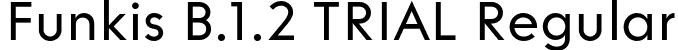 Funkis B.1.2 TRIAL Regular font | FunkisB.1.2TRIAL-Regular.otf