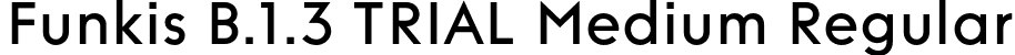 Funkis B.1.3 TRIAL Medium Regular font | FunkisB.1.3TRIAL-Medium.otf