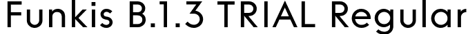 Funkis B.1.3 TRIAL Regular font | FunkisB.1.3TRIAL-Regular.otf
