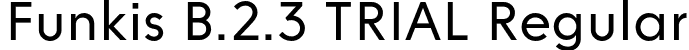 Funkis B.2.3 TRIAL Regular font | FunkisB.2.3TRIAL-Regular.otf