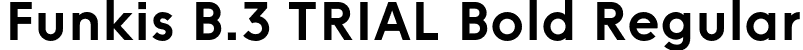 Funkis B.3 TRIAL Bold Regular font | FunkisB.3TRIAL-Bold.otf