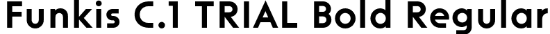Funkis C.1 TRIAL Bold Regular font | FunkisC.1TRIAL-Bold.otf