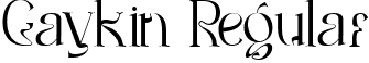 Gaykin Regular font | Gaykin.ttf