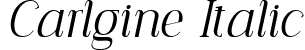 Carlgine Italic font | Carlgine-Italic.ttf