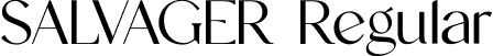 SALVAGER Regular font | SALVAGER.otf