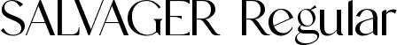 SALVAGER Regular font | SALVAGER.ttf