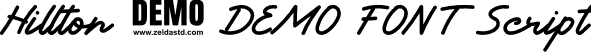Hillton - DEMO FONT Script font | Hillton-DEMOFONT-Script.otf
