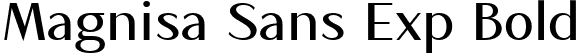 Magnisa Sans Exp Bold font | MagnisaSans-BoldExp.ttf