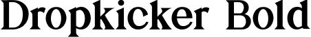 Dropkicker Bold font | Dropkicker-Bold.ttf