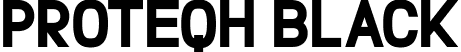 Proteqh Black font | Proteqh Black.otf