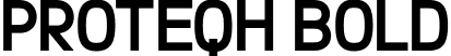 Proteqh Bold font | Proteqh Bold.otf