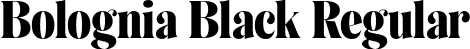 Bolognia Black Regular font | BologniaDemo-Black.otf