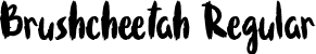 Brushcheetah Regular font | Brushcheetah.otf