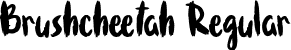 Brushcheetah Regular font | Brushcheetah.ttf