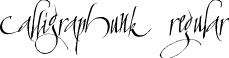 cAlLiGrApHuNk Regular font | Calligraphunk-trial.ttf