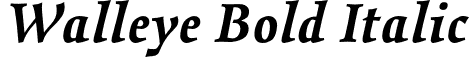 Walleye Bold Italic font | Walleye-BoldItalic.otf