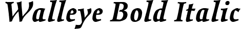 Walleye Bold Italic font | Walleye-BoldItalic.ttf