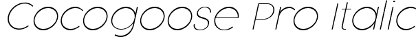 Cocogoose Pro Italic font | Cocogoose Pro Thin Italic Trial.ttf