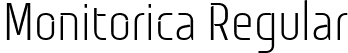 Monitorica Regular font | Monitorica-Rg.ttf