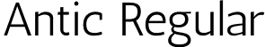 Antic Regular font | Antic-Regular.ttf