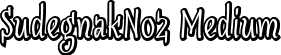 SudegnakNo2 Medium font | SudegnakNo2.ttf