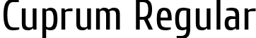 Cuprum Regular font | Cuprum-Regular.ttf