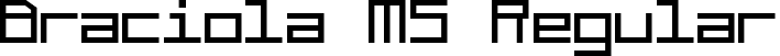 Braciola MS Regular font | Braciola MS.ttf