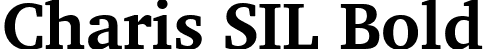 Charis SIL Bold font | CharisSILB.ttf