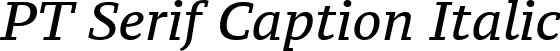 PT Serif Caption Italic font | PTZ56F.ttf