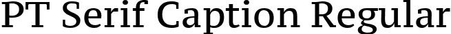 PT Serif Caption Regular font | PTZ55F.ttf