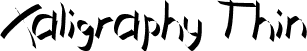 Xaligraphy Thin font | Xaligraphy Thin.ttf